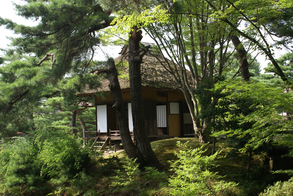 御薬園の茶室