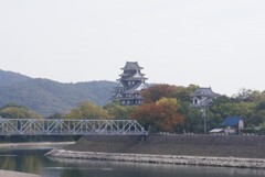 岡山城遠景
