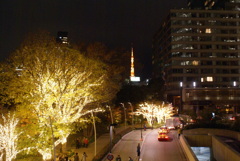 遠くに東京タワー