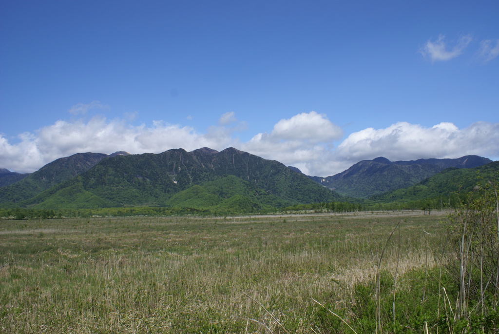 戦場ヶ原