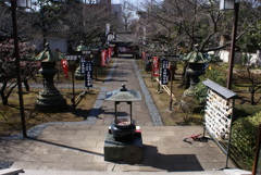 寛永寺大師堂の２