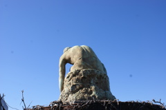 彫塑館屋上の像