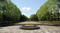 中央公園