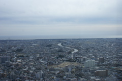 浜松市街と遠州灘