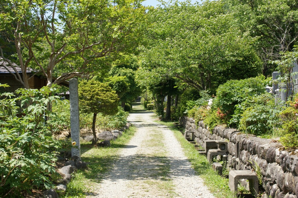 墓地歩道