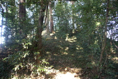 社殿後ろの古墳の墳丘