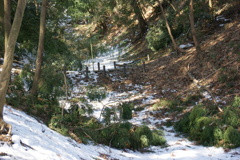 児山城址