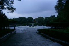 夜の中央公園