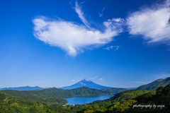 大空を泳ぐ