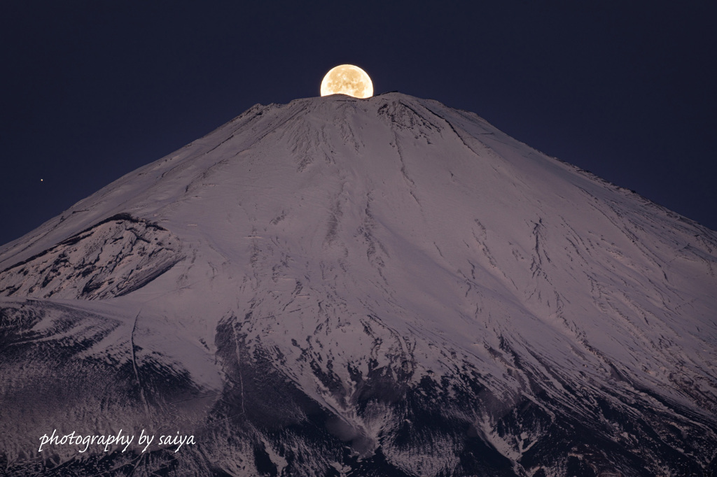 ウルフムーン落つ