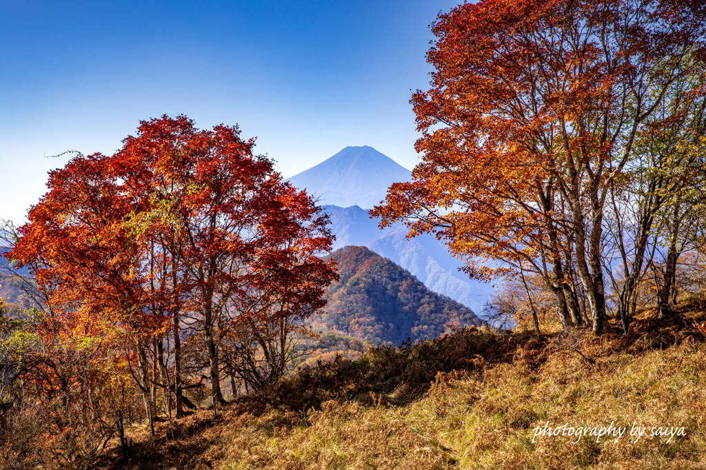 紅葉散歩 その３