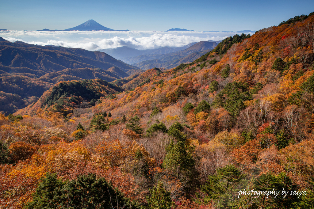 高原の晩秋