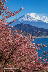 早春の峠