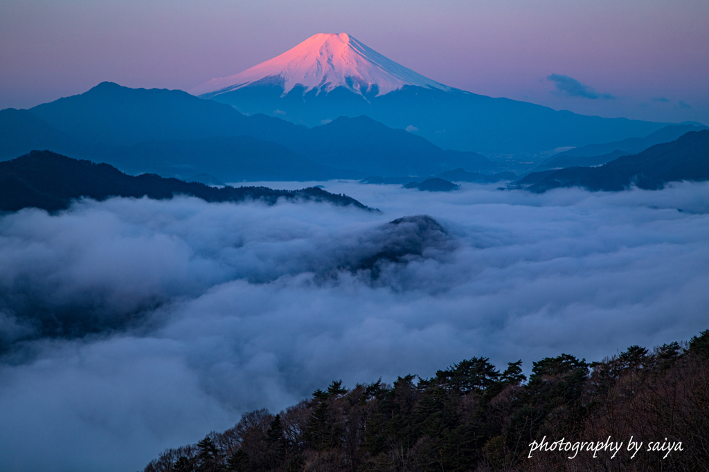 薄紅と雲海