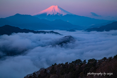 薄紅と雲海
