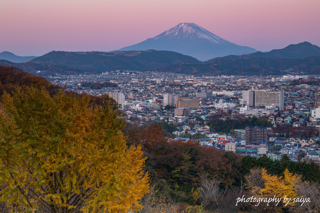 晩秋の里山