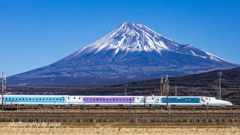 ディズニー特別塗装 新幹線 その１