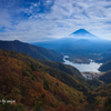 晩秋に輝く