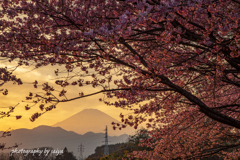 春の夕暮れ