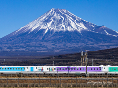 ディズニー特別塗装 新幹線 その２