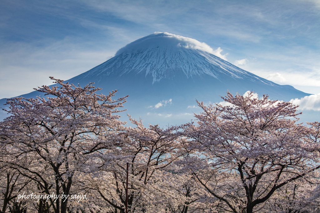 春霞の朝
