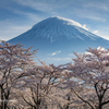 春霞の朝