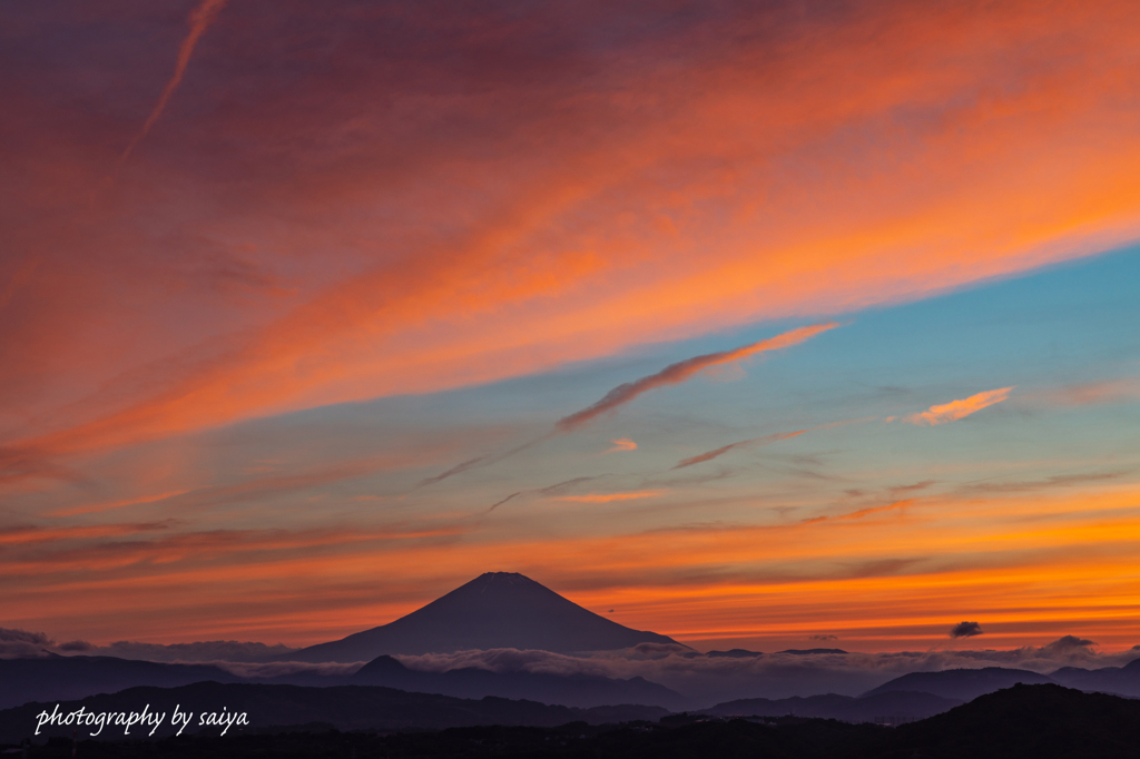 燃え立つ夕映