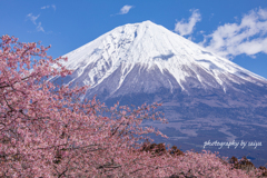春日和