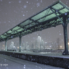 Snowy station