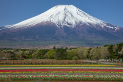 カラフルライン