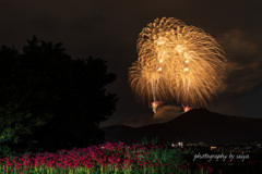 秦野たばこ祭花火2025 その４