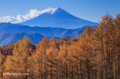 秋日和