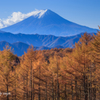 秋日和