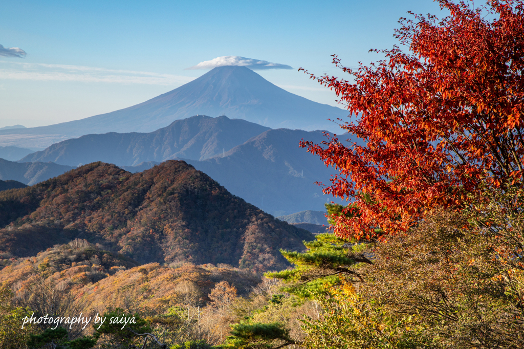 紅葉散歩 その１