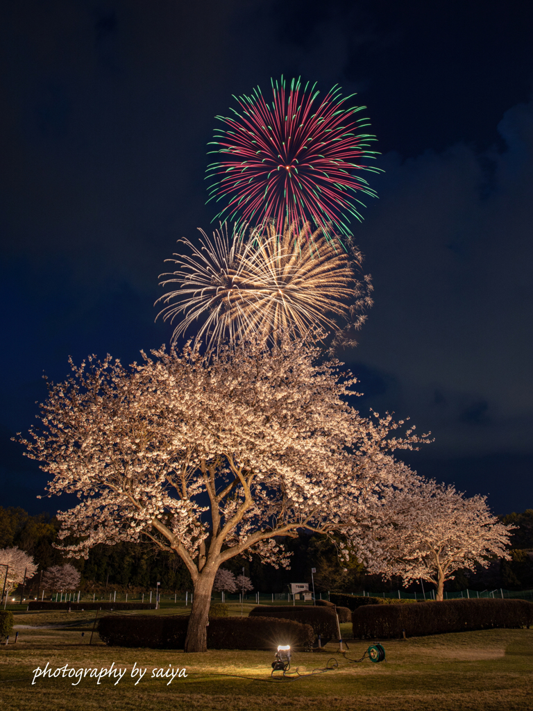 花見で花火2023 その１