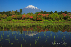 いつかの景色
