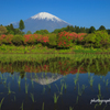 いつかの景色