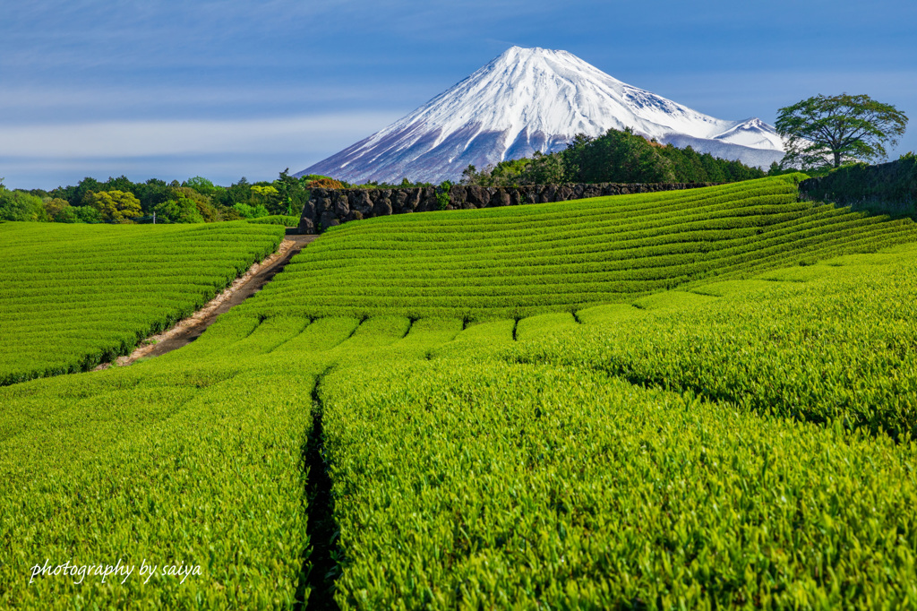 変わらない景色