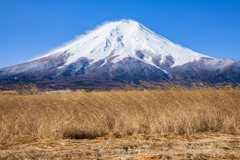 雪化粧