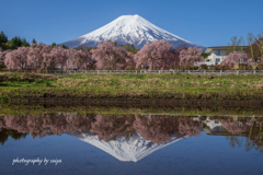 reflection