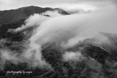 枝折峠の雲海1