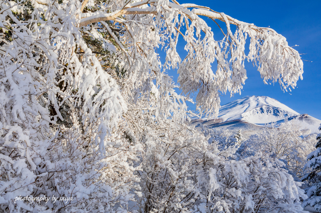 平成最後の雪景色3
