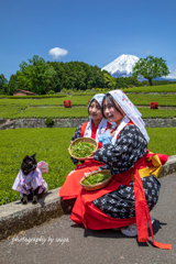 大渕笹場お茶まつり2025 その５