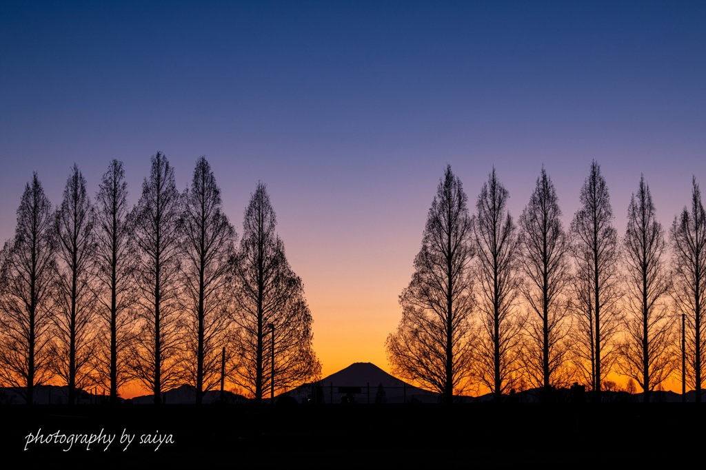 マジックアワー