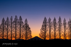 マジックアワー