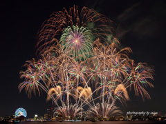 名港水上芸術花火2022 その９