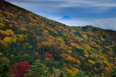 紅葉深まる