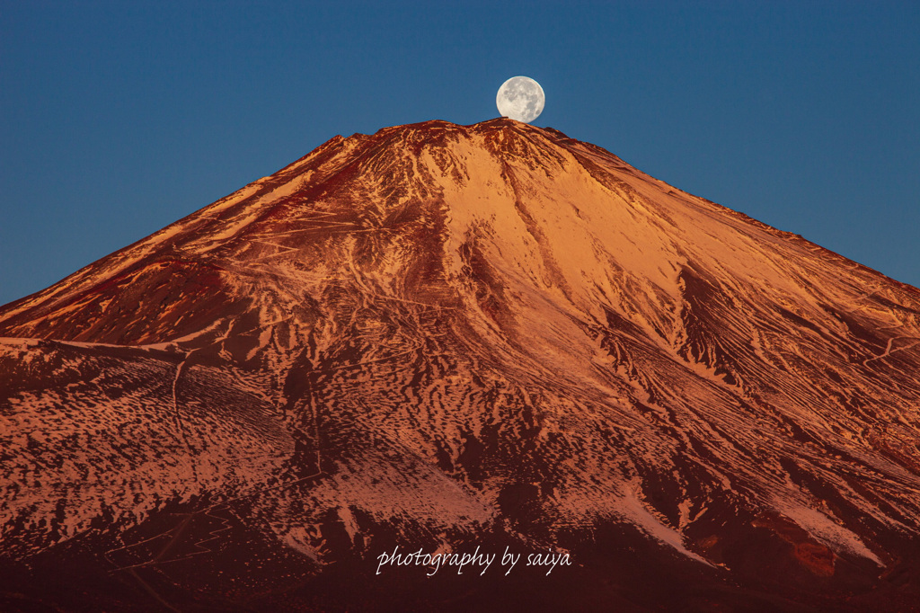 調整池パール富士 その２