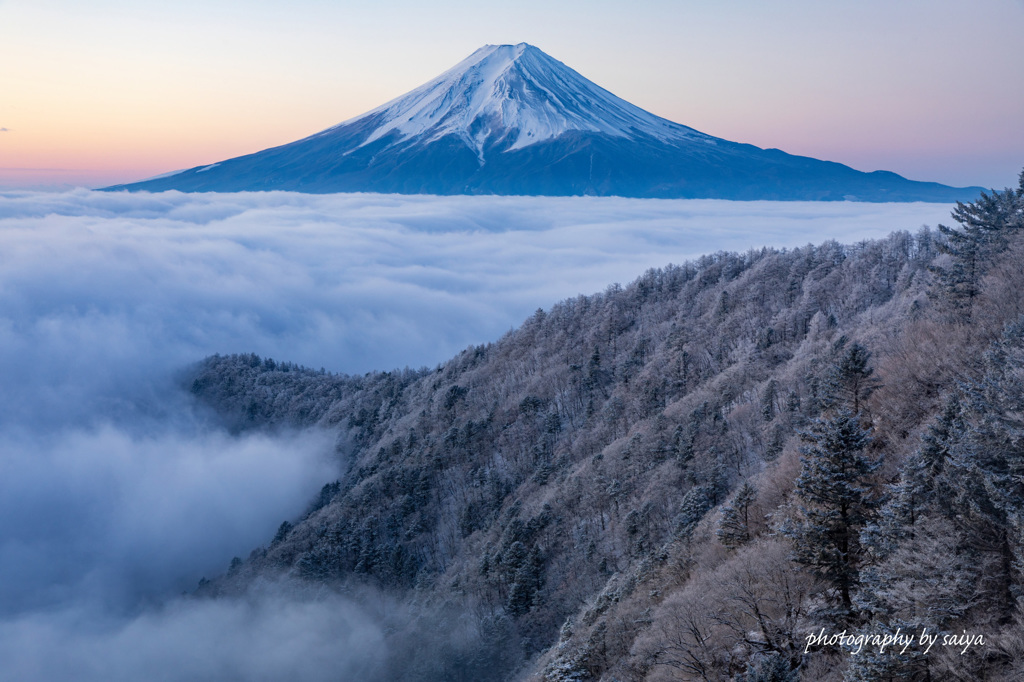 白日夢