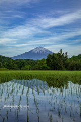 田植えの頃